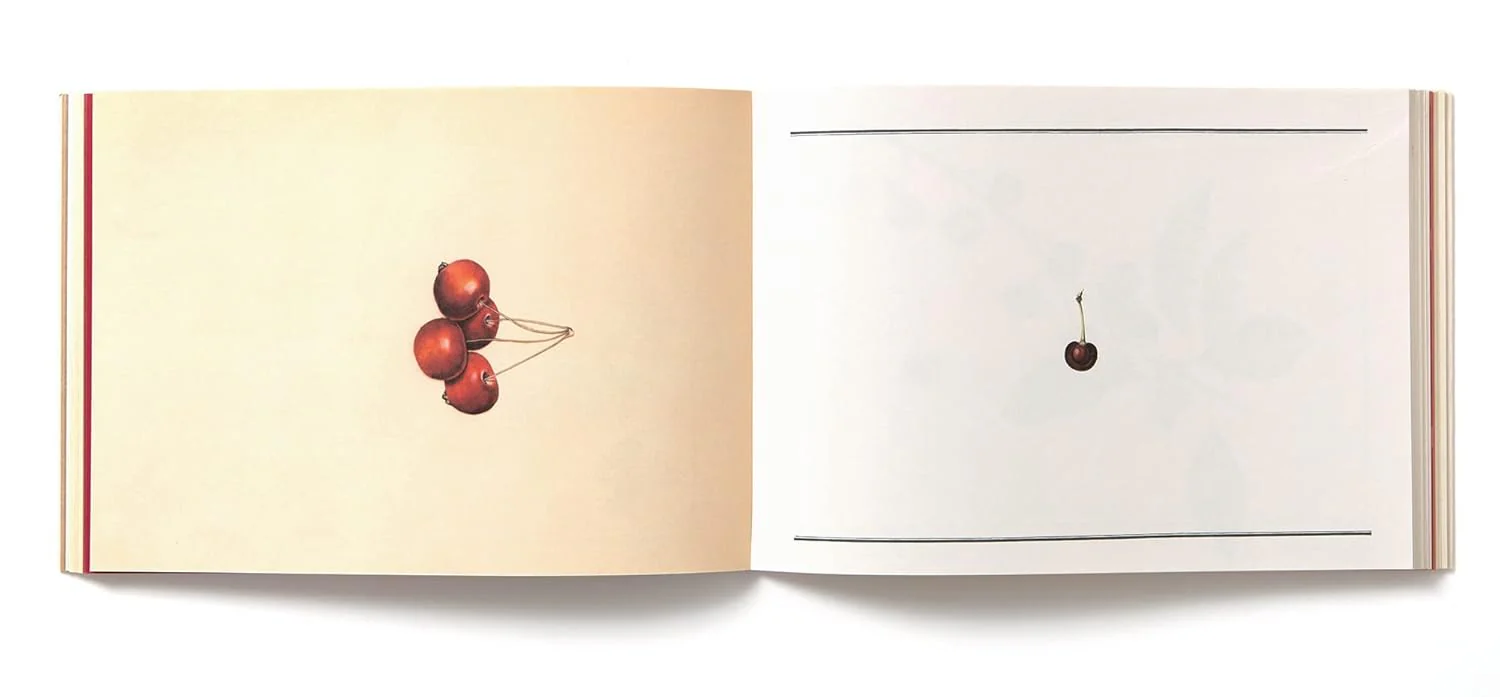 100 Writing & Crafting Papers Of Fruit - Japanese - Image 4