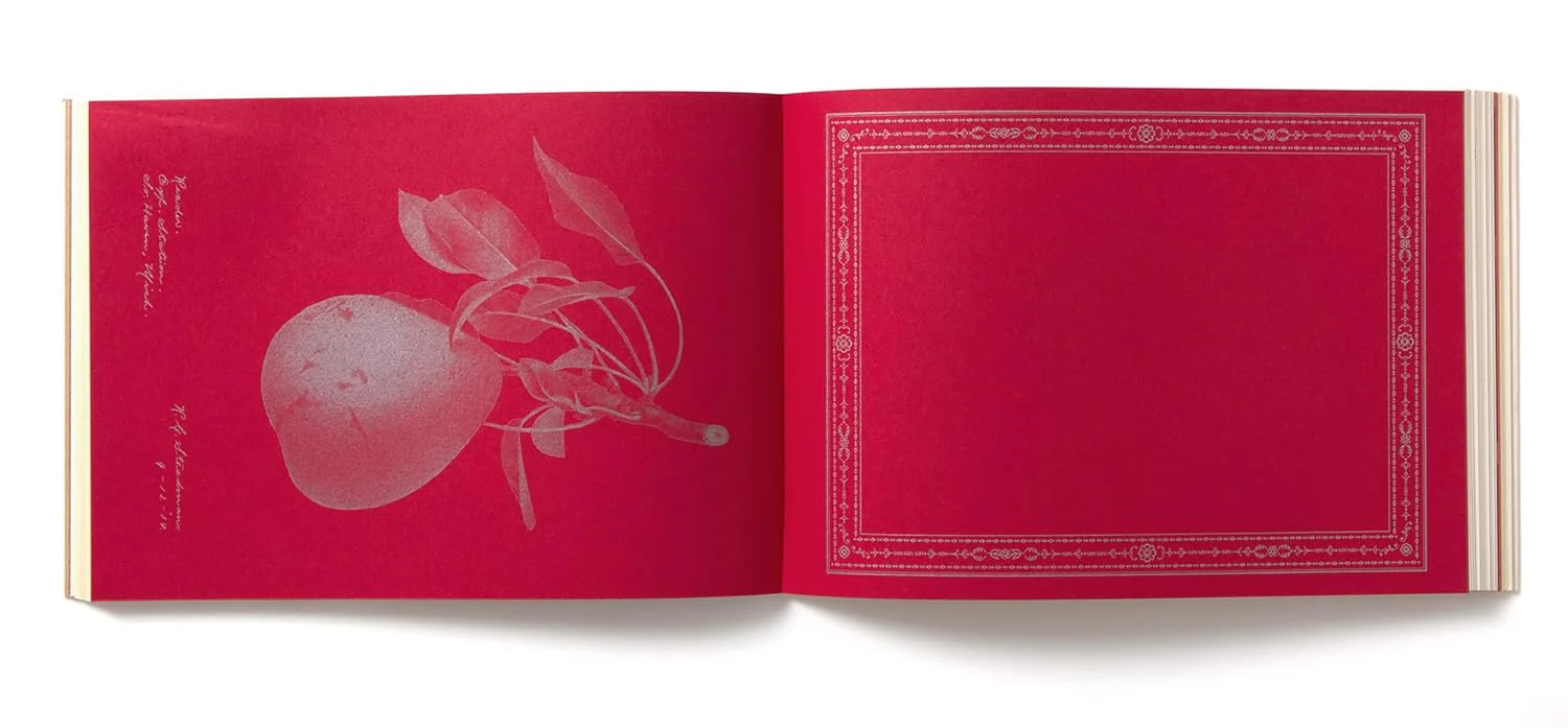 100 Writing & Crafting Papers Of Fruit - Japanese - Image 5