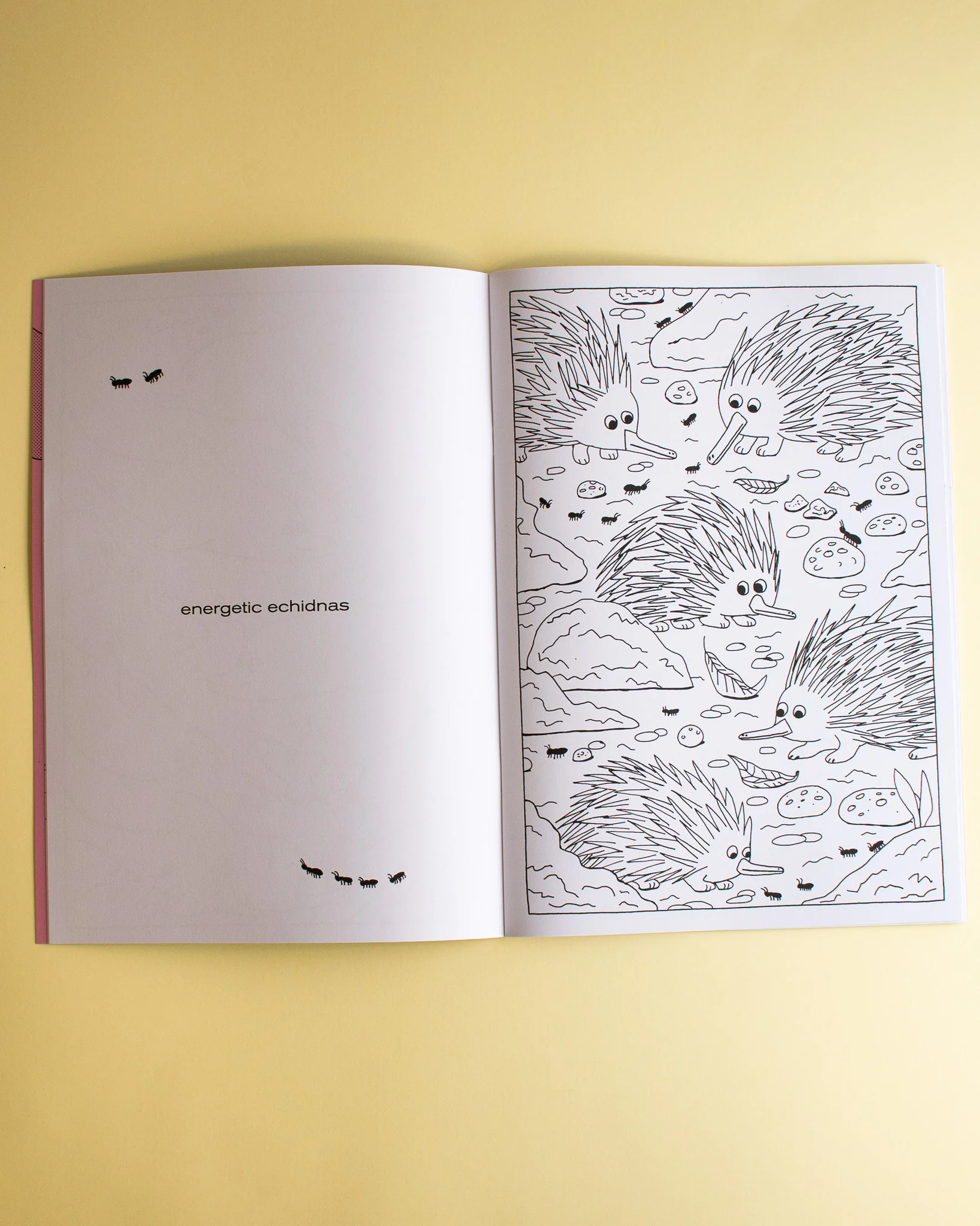 Alice Oehr - Creature Comforts Colouring Book – Down Under - Image 2