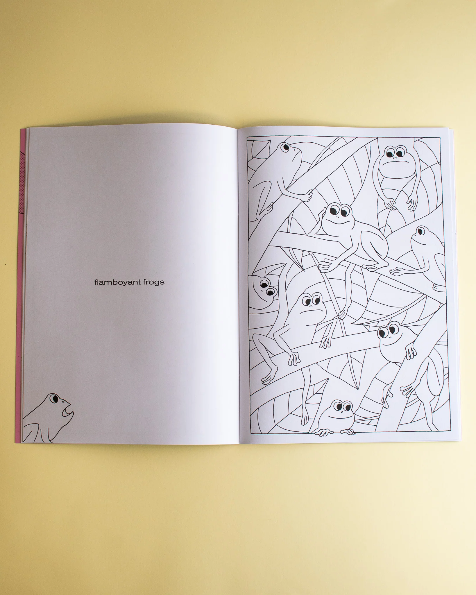 Alice Oehr - Creature Comforts Colouring Book – Down Under - Image 3