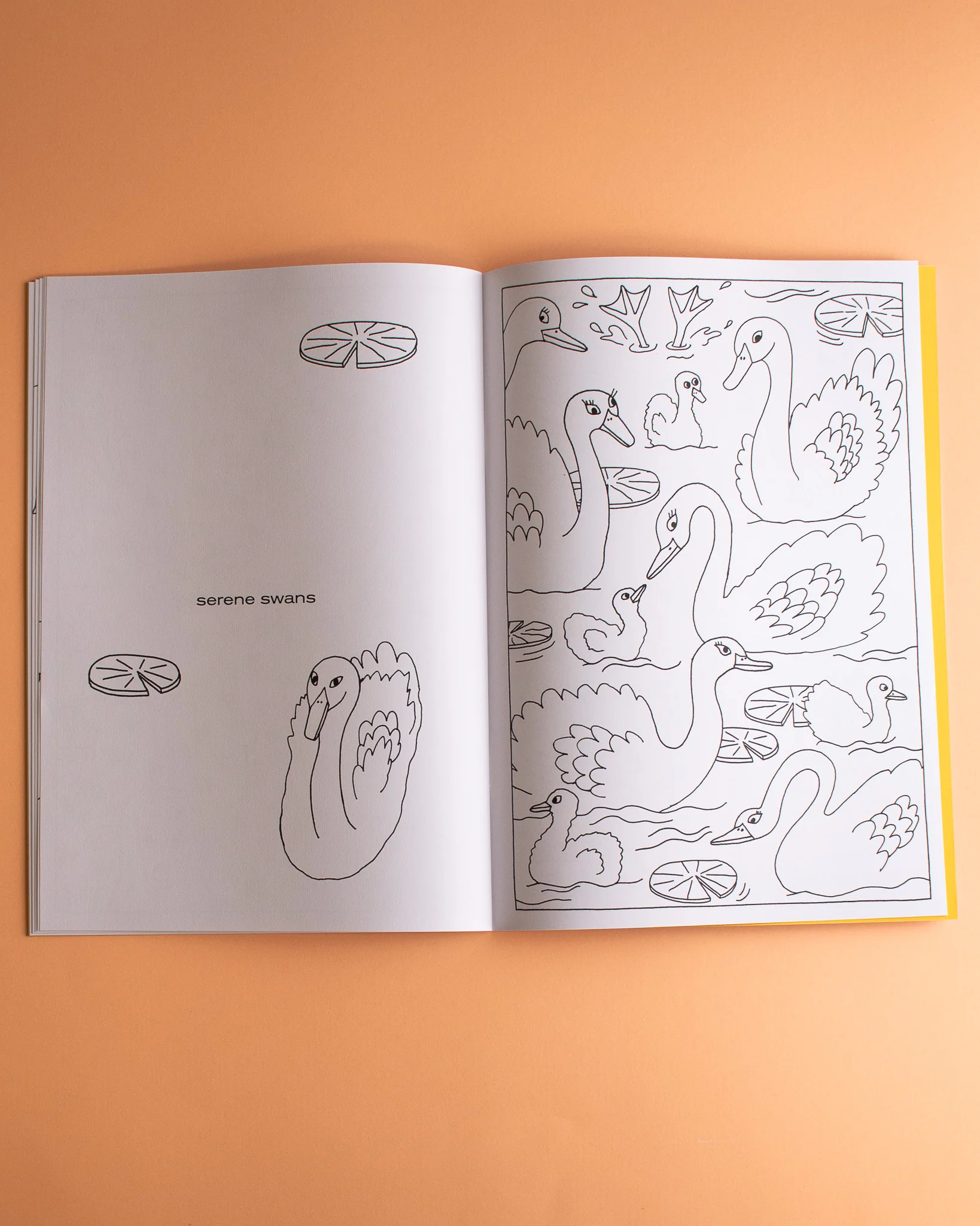 Alice Oehr - Creature Comforts Colouring Book – Mixed Menagerie - Image 4