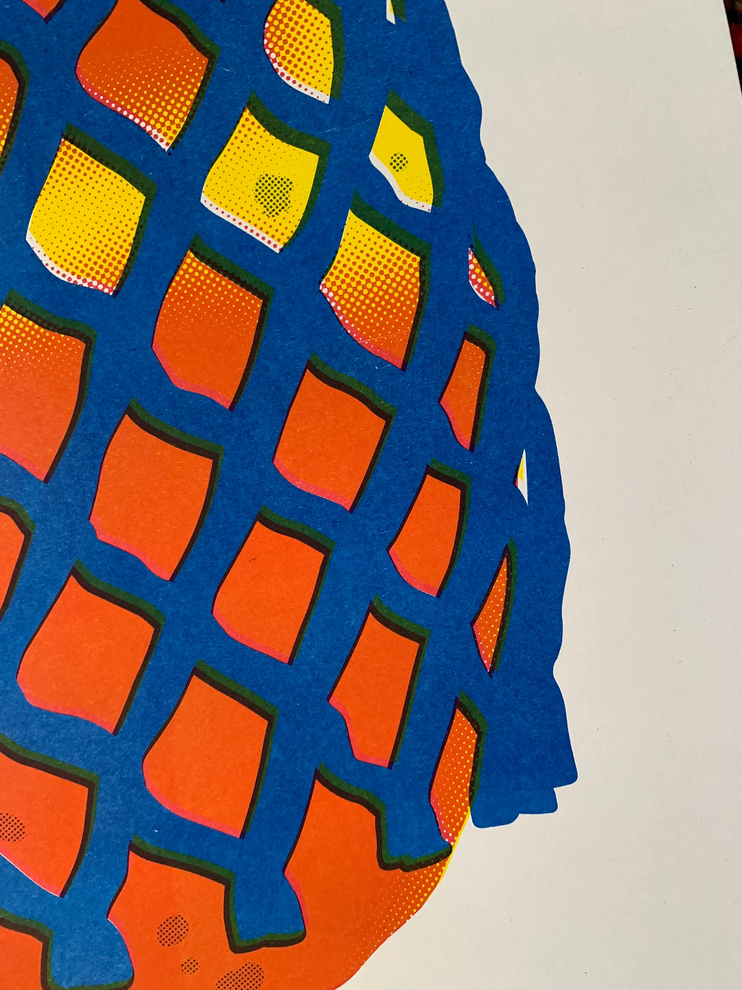 Alice Oehr - Wrapped Papaya Riso Print - A2 - Image 4