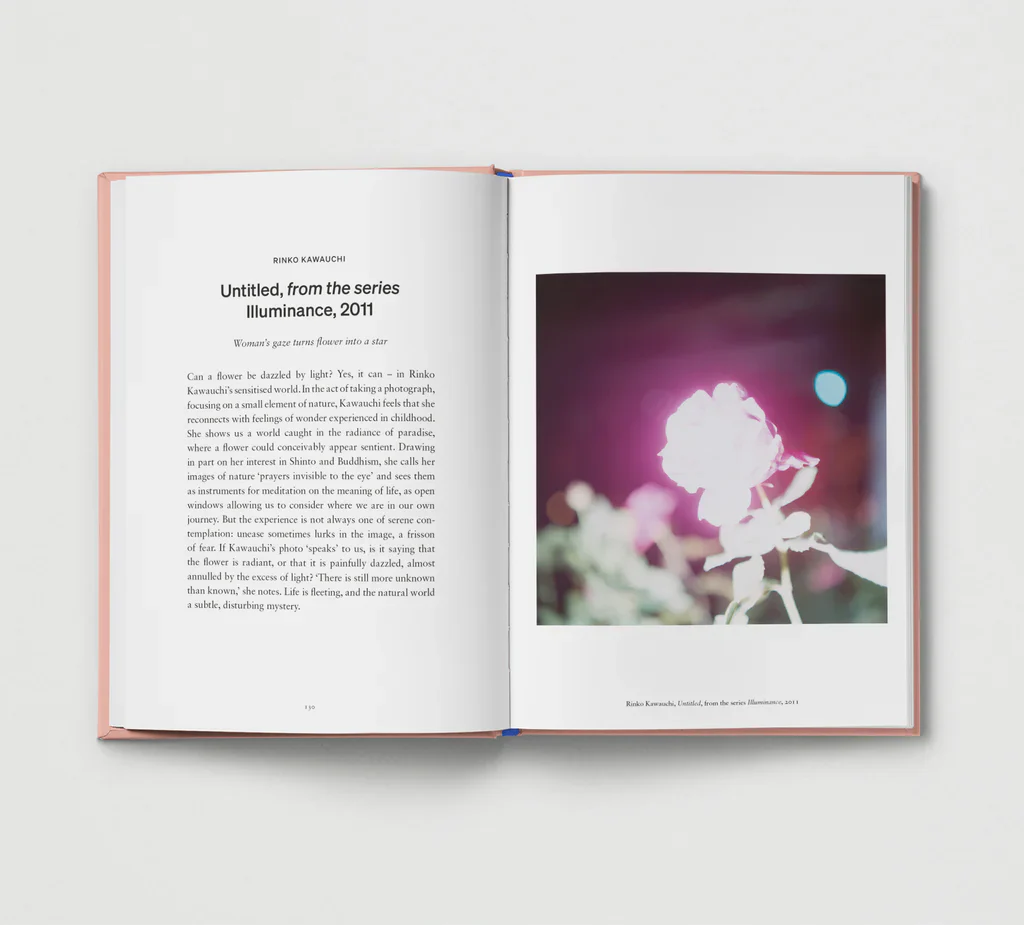 An Opinionated Guide to Photography - Image 6