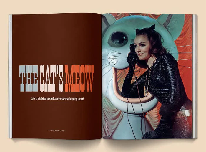 Broccoli - Catnip Magazine: Vol 2 - Image 4