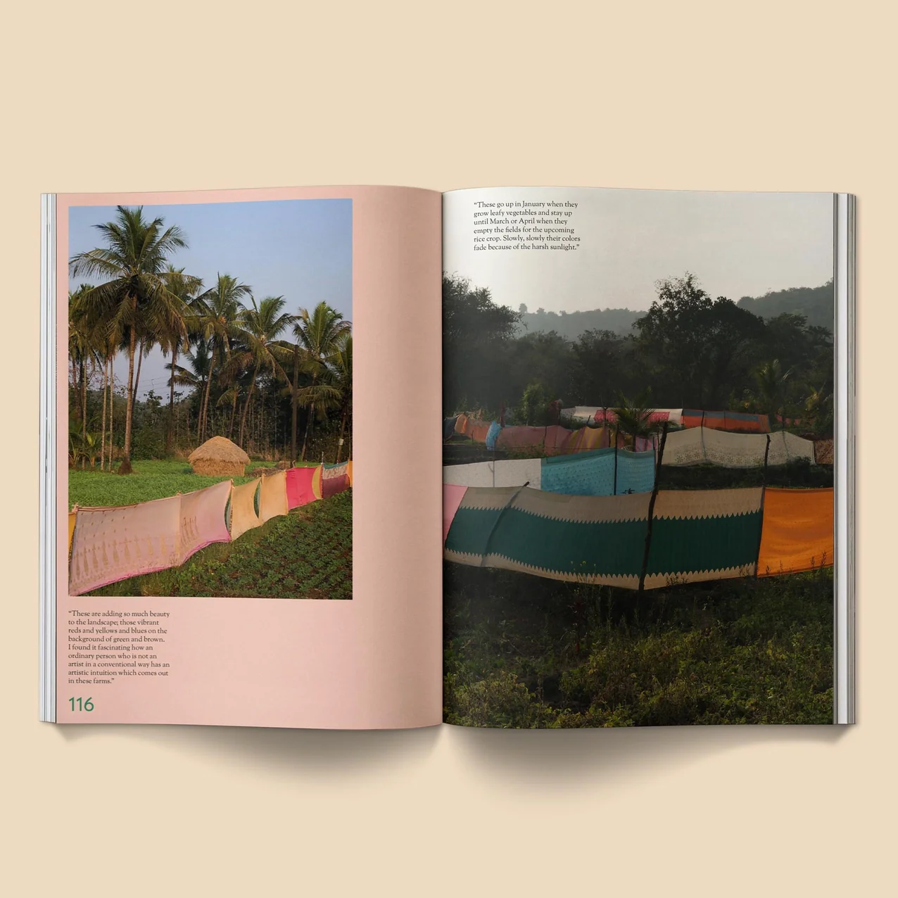 Broccoli - Mildew Magazine: Issue 4 - Image 5
