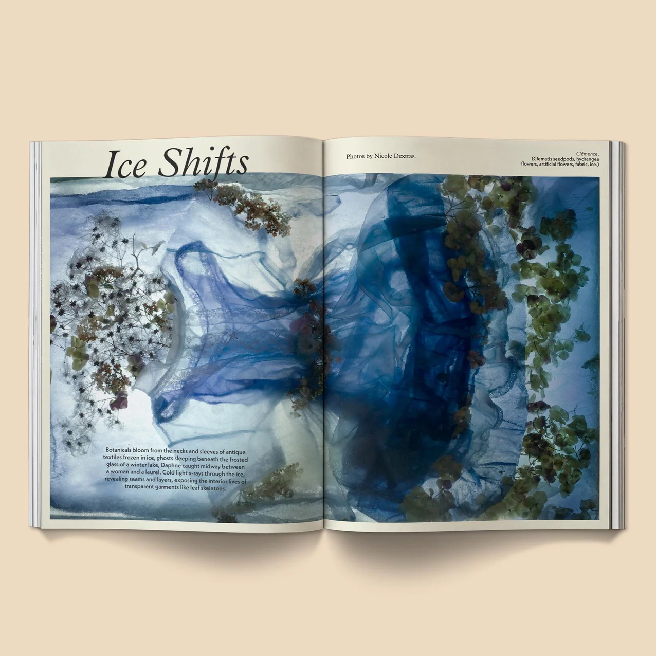 Broccoli - Mildew Magazine: Issue 4 - Image 9