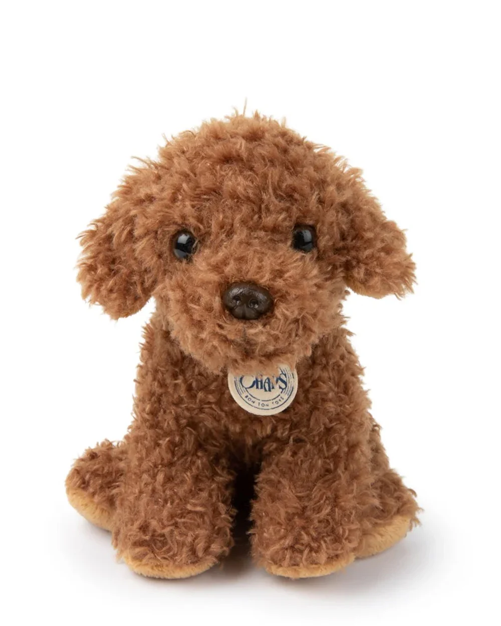 B.T Chaps - Stacy the Labradoodle