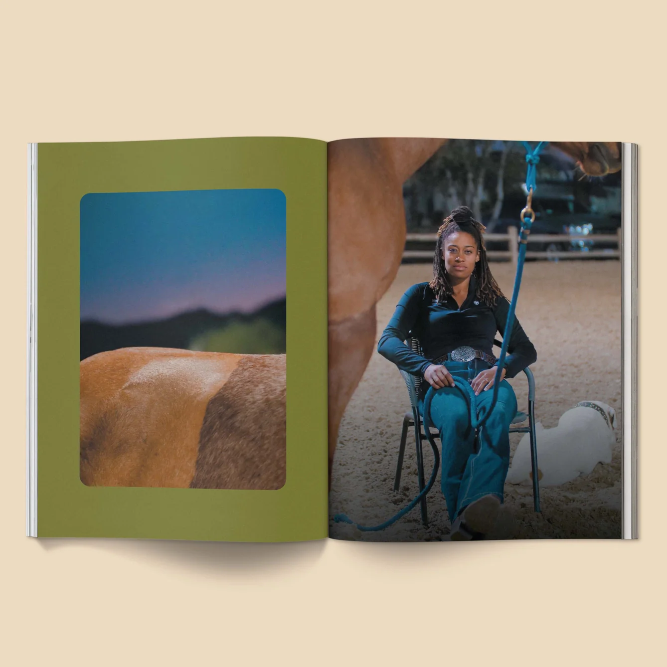 Calling All Horse Girls Magazine - Vol. 2: Working - Image 6