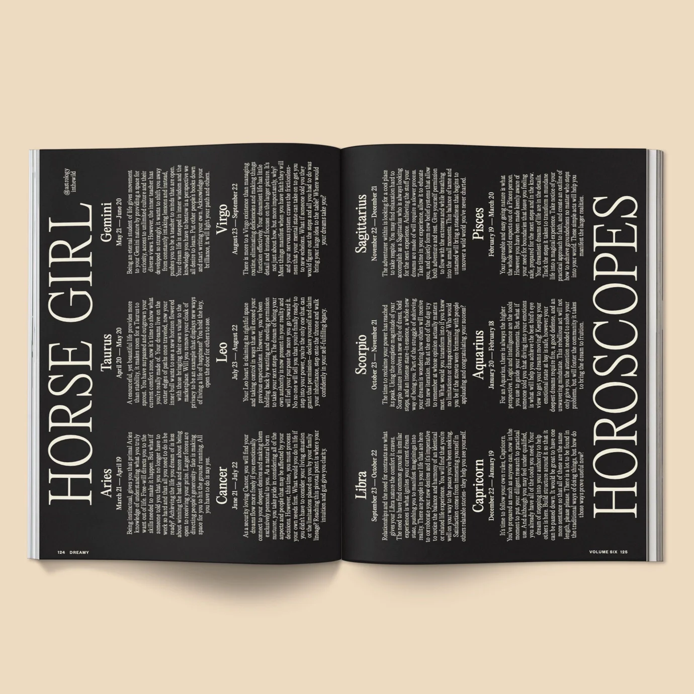 Calling All Horse Girls Magazine - Vol. 6: Dreamy - Image 5