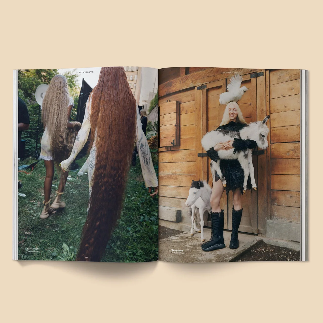 Calling All Horse Girls Magazine - Vol. 8: Steady - Image 5