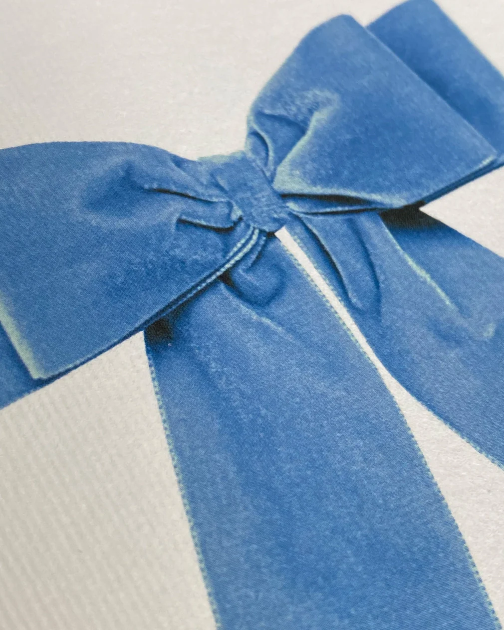 Canonbury Press - Baby Blue Velvet Bow Greeting Card - Image 2