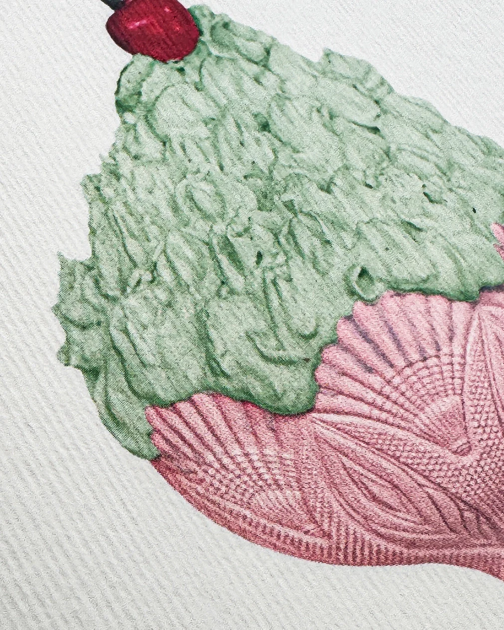 Canonbury Press - Pistachio Chantilly Cream Greeting Card - Image 2