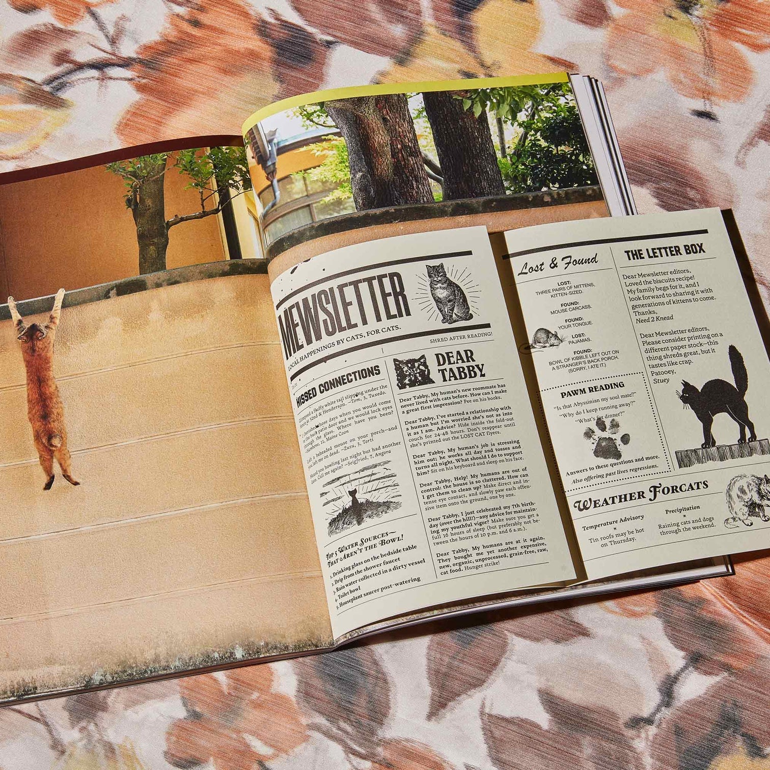 Broccoli - Catnip Magazine - Image 3