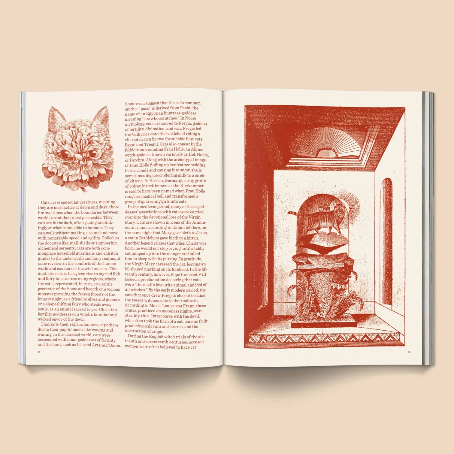 Broccoli - Catnip Magazine - Image 4