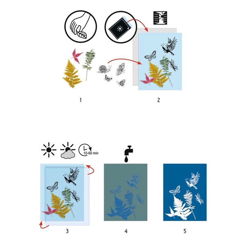 Djeco - Cyanotype Starter Kit - Image 2