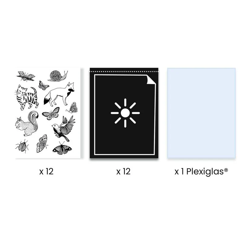 Djeco - Cyanotype Starter Kit - Image 3