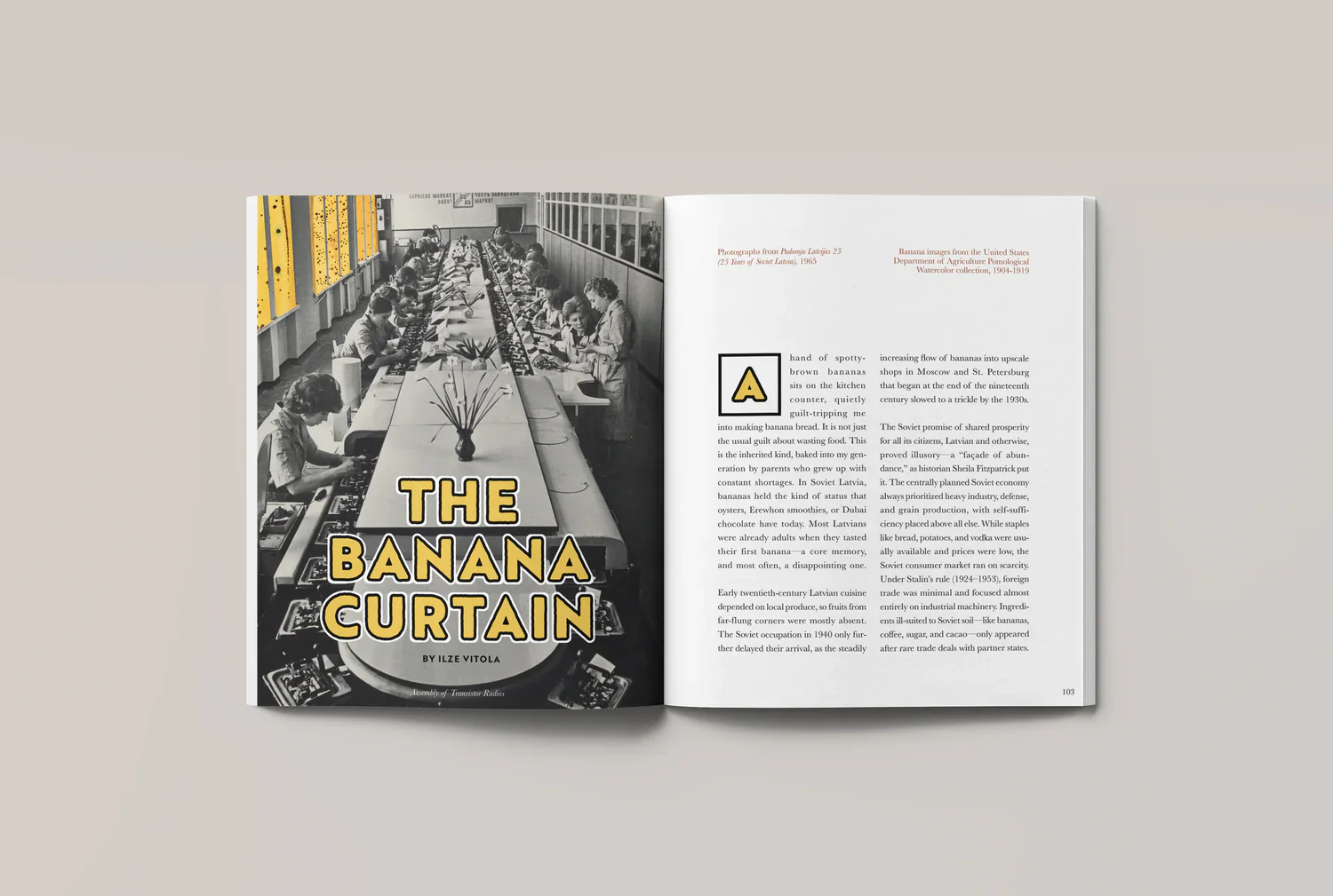 Eaten Magazine - Issue 24 - Snacks - Image 3