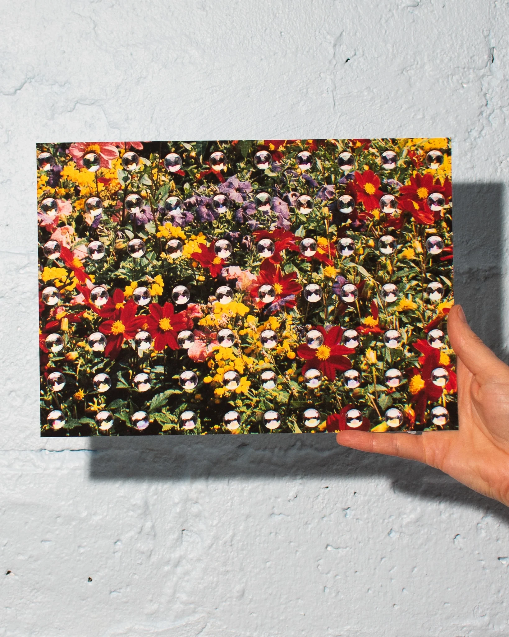 Emily Green - Field of Flowers - Giclee Print