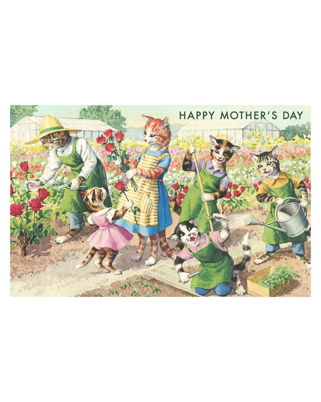 Found Image Press - Crazy Cats Happy Mother's Day Postcard