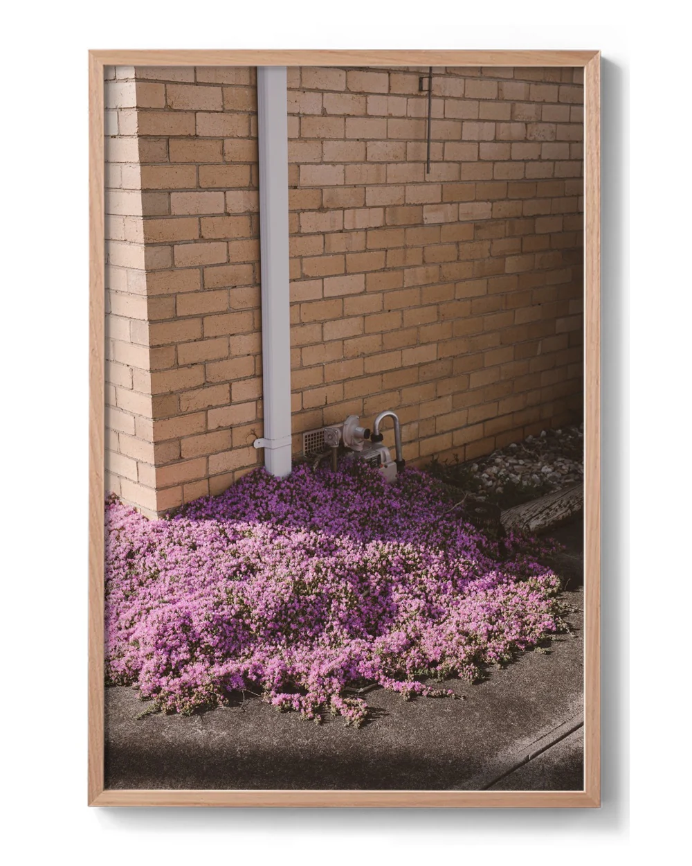 Hilary Walker - Lilac, Reservoir 2022