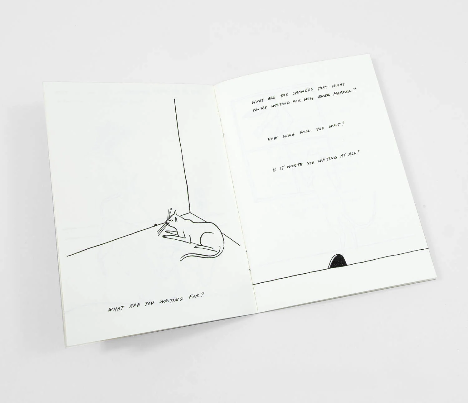 Kaye Blegvad - Riso Printed Zine - Routine Questions For The Cat - Image 3