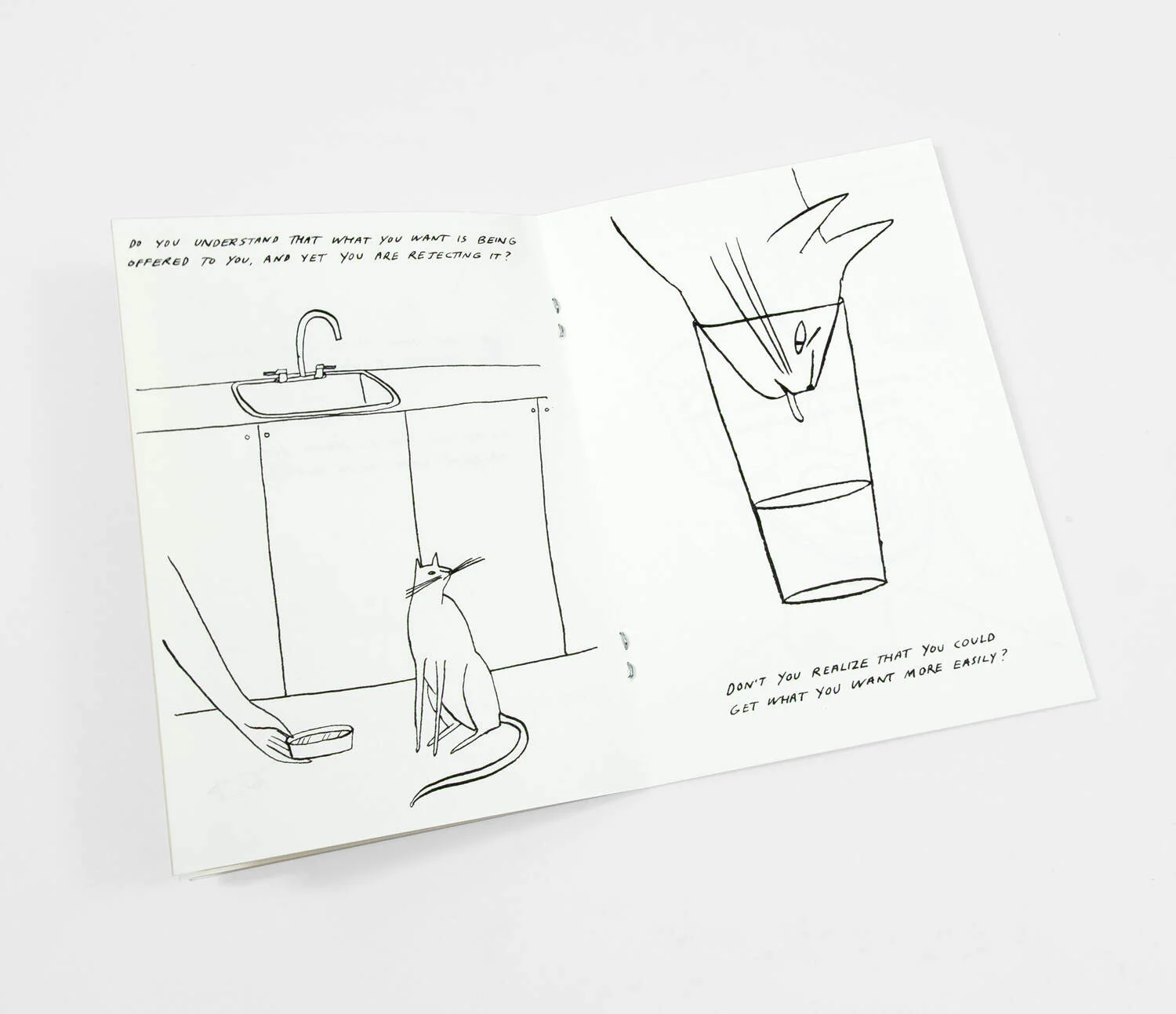 Kaye Blegvad - Riso Printed Zine - Routine Questions For The Cat - Image 4