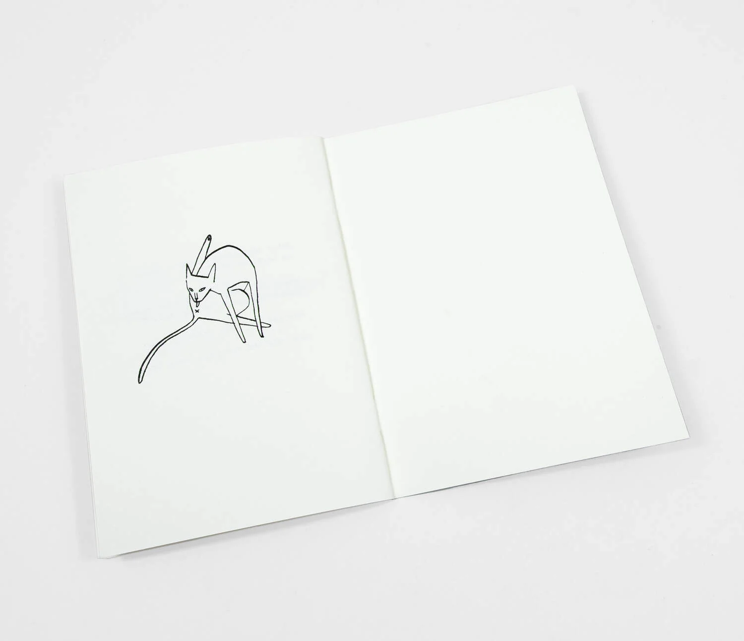 Kaye Blegvad - Riso Printed Zine - Routine Questions For The Cat - Image 5