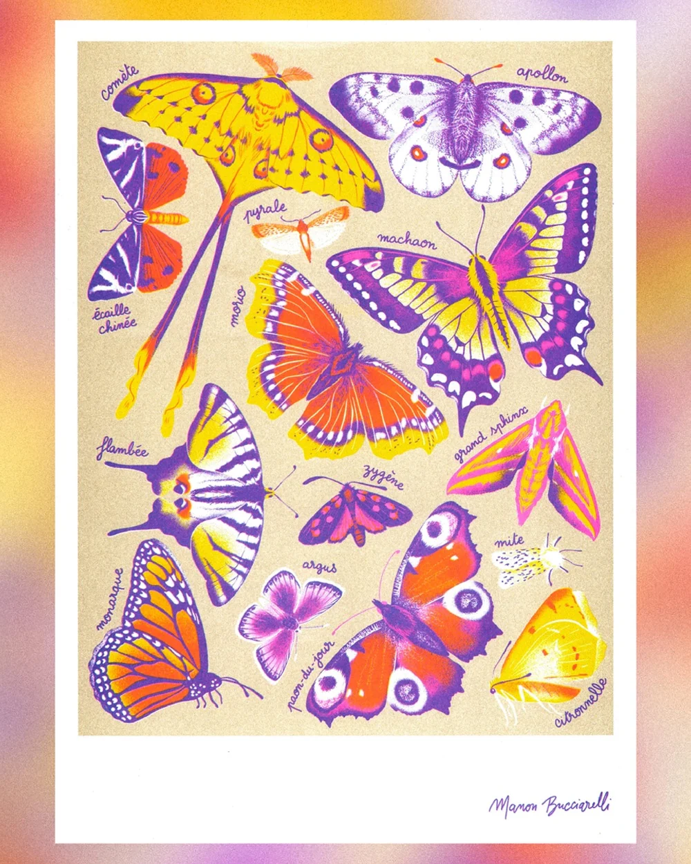 KIBLIND Atelier - Butterflies - Manon Bucciarelli