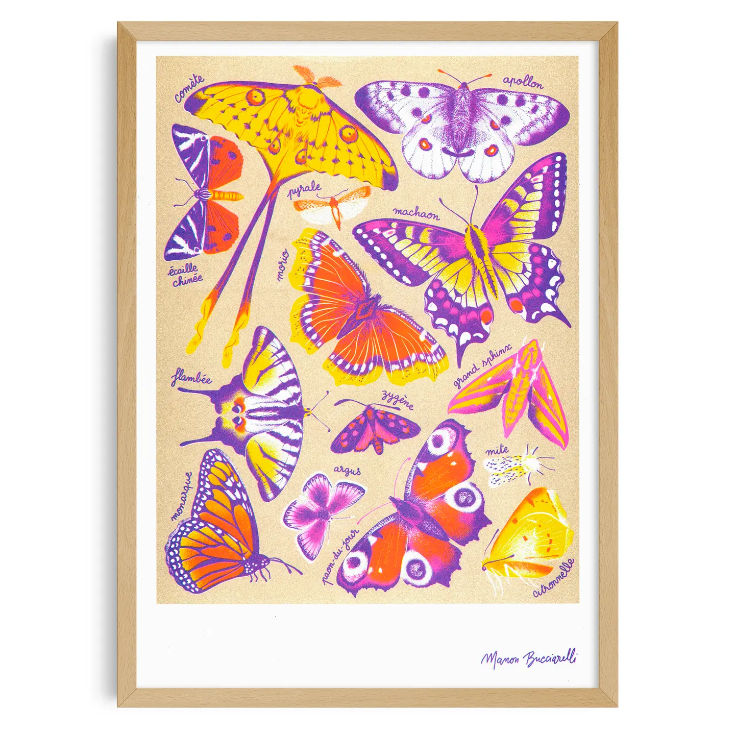 KIBLIND Atelier - Butterflies - Manon Bucciarelli - Image 3