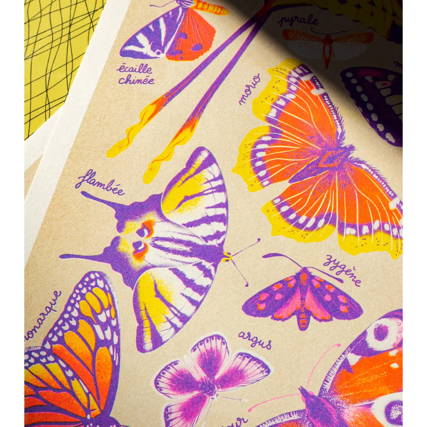 KIBLIND Atelier - Butterflies - Manon Bucciarelli - Image 4