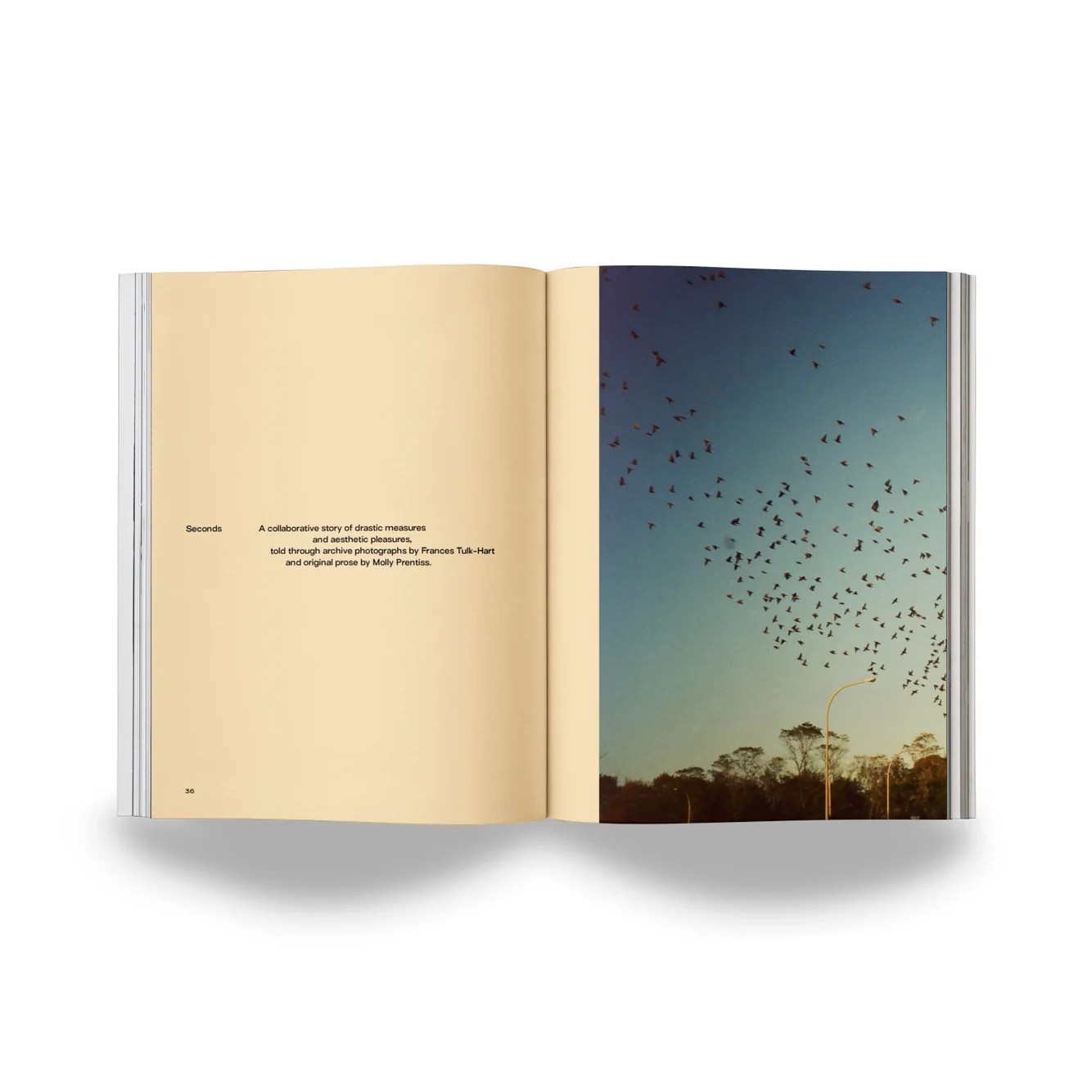 Mother Tongue Magazine - Issue 5 - Image 7