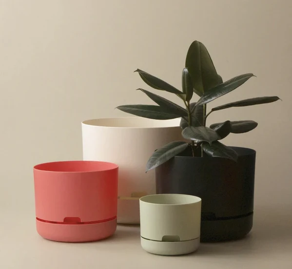 Mr Kitly - Self-Watering Plant Pots - 375mm - PICK UP ONLY - Image 10