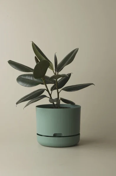 Mr Kitly - Self-Watering Plant Pots  - 250mm - PICK UP ONLY - Image 3