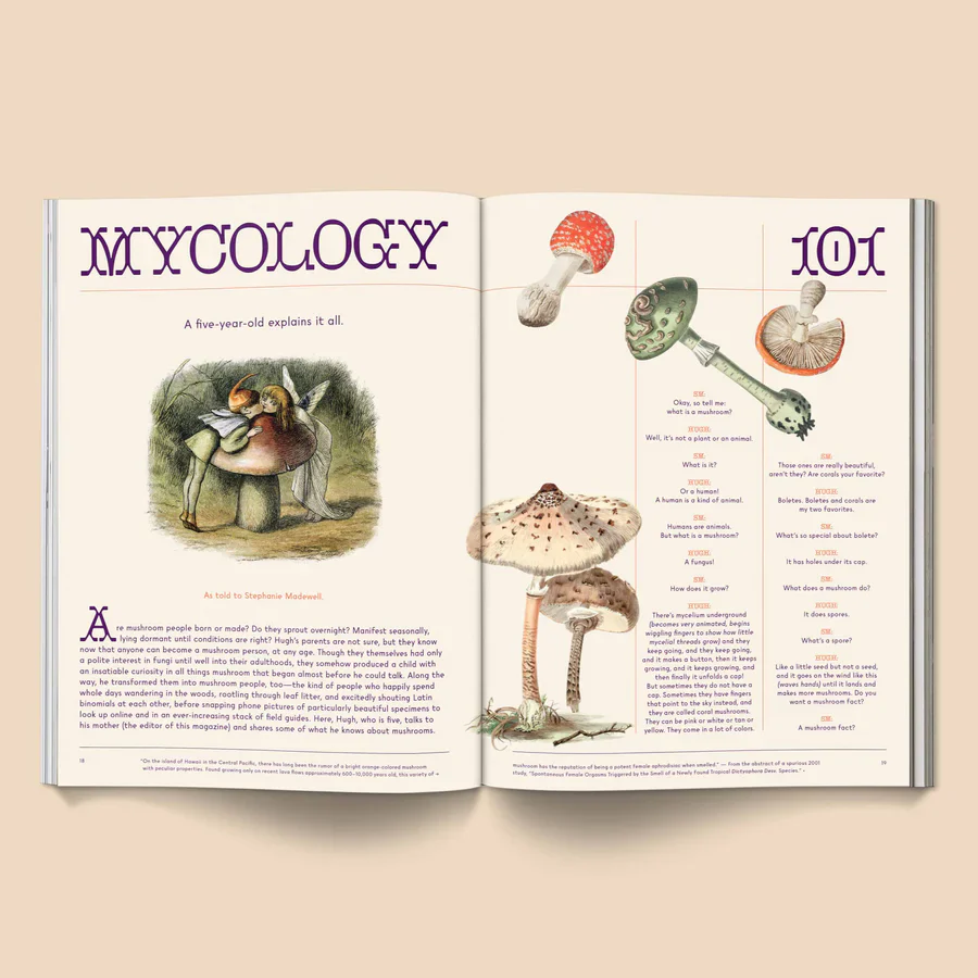 Mushroom People Magazine - Broccoli - Image 4