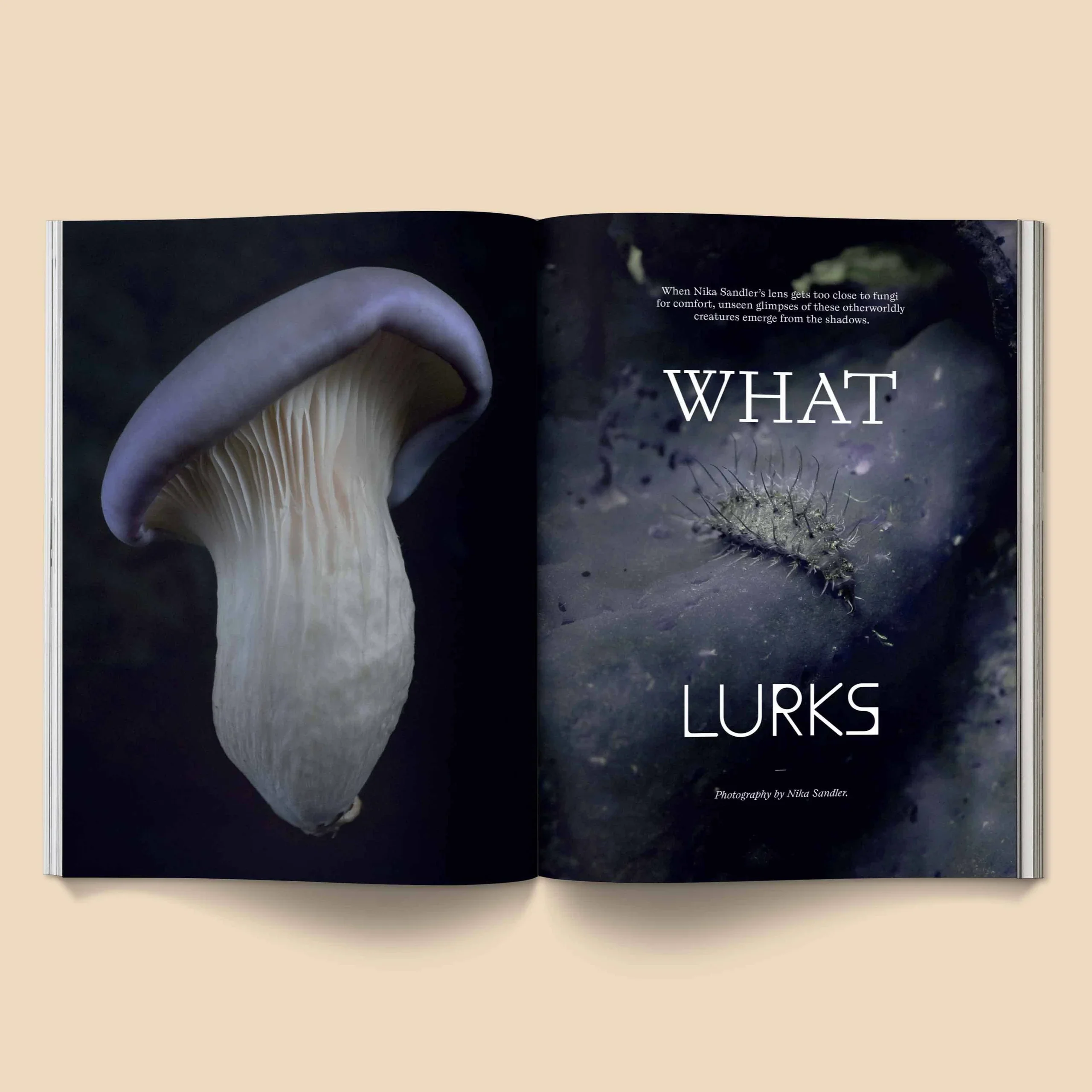 Mushroom People Magazine - Volume 2 -  Broccoli - Image 3