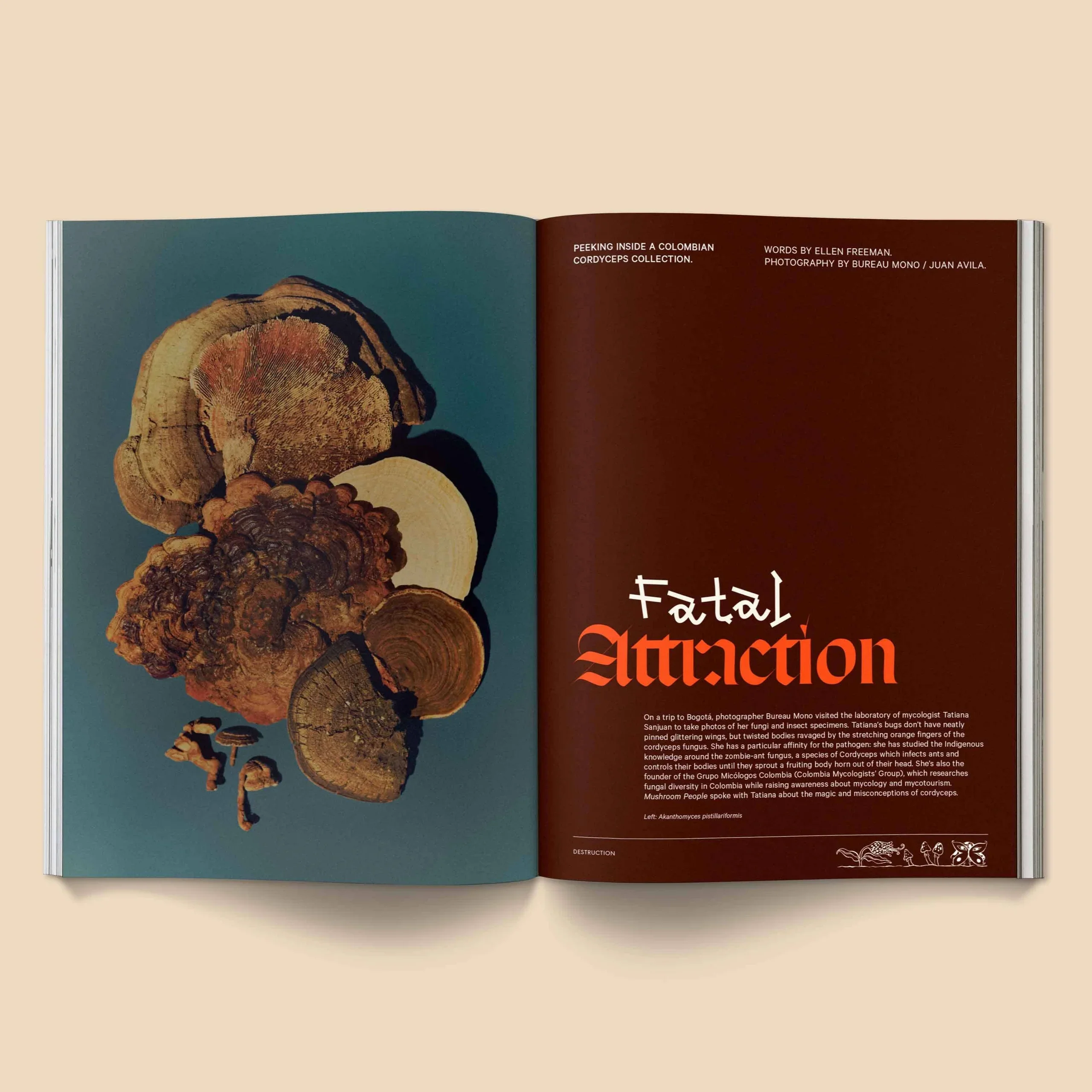 Mushroom People Magazine - Volume 2 -  Broccoli - Image 4