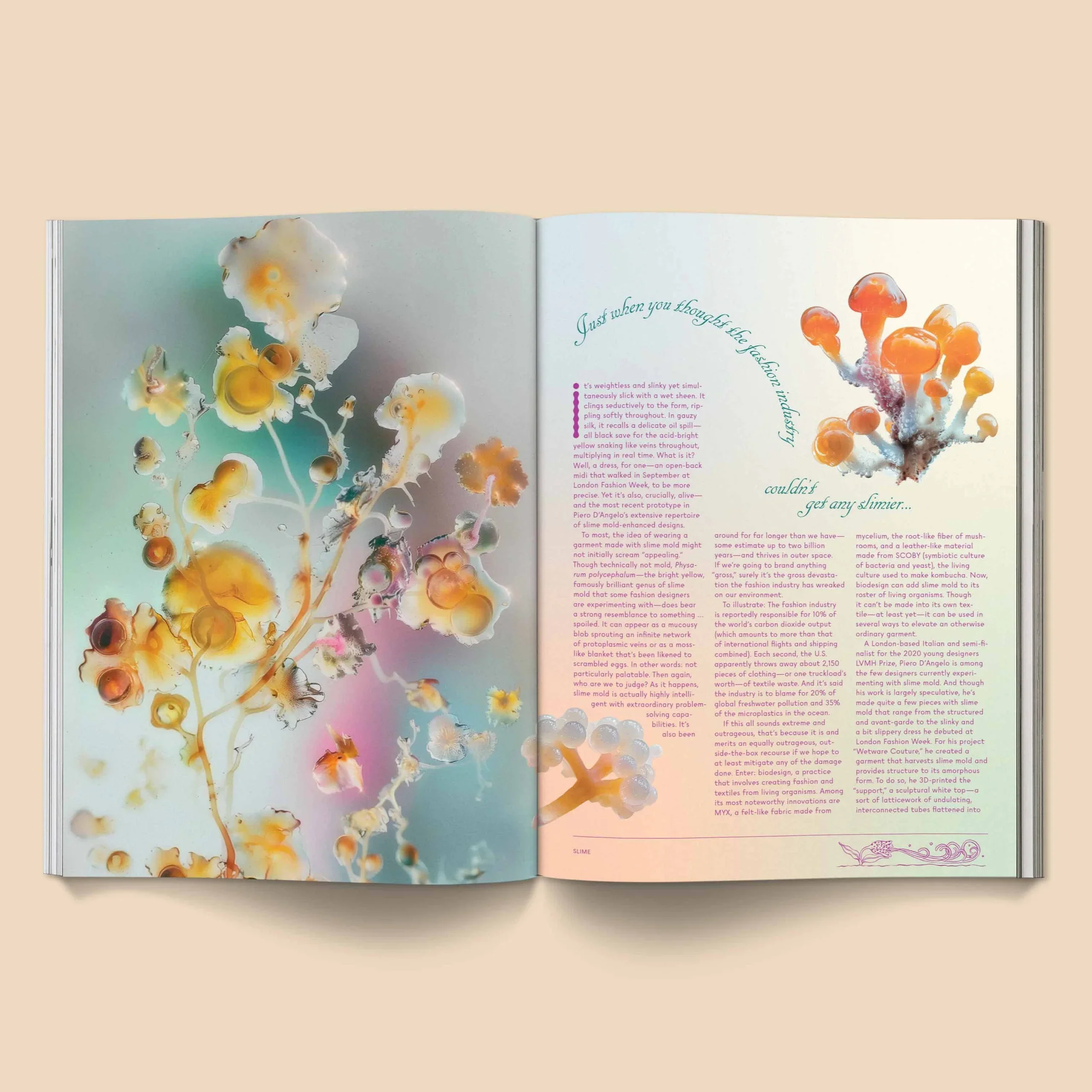 Mushroom People Magazine - Volume 2 -  Broccoli - Image 5