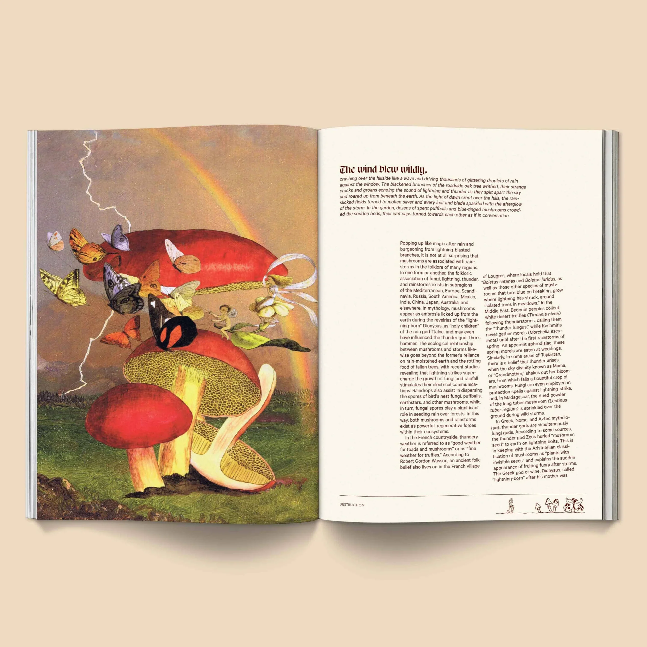 Mushroom People Magazine - Volume 2 -  Broccoli - Image 6