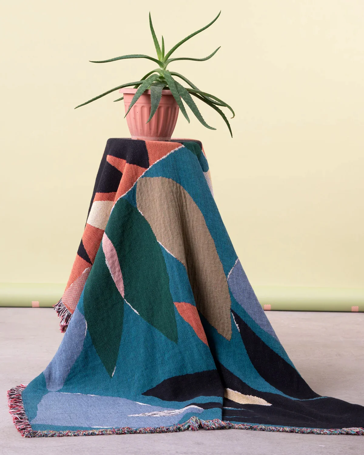 Slowdown Studio Throw - Barbosa - Image 3