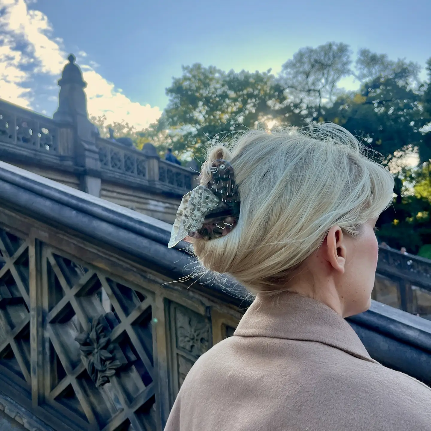 Solar Eclipse - Pigeon Claw Hair Clip - Image 3