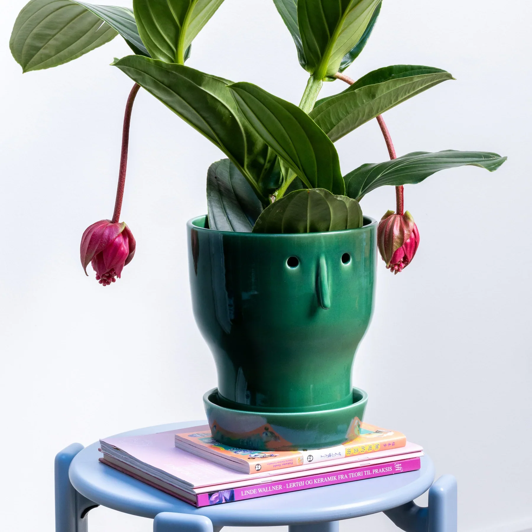 Studio Arhoj - Fnoobie Pot - Large - Image 2