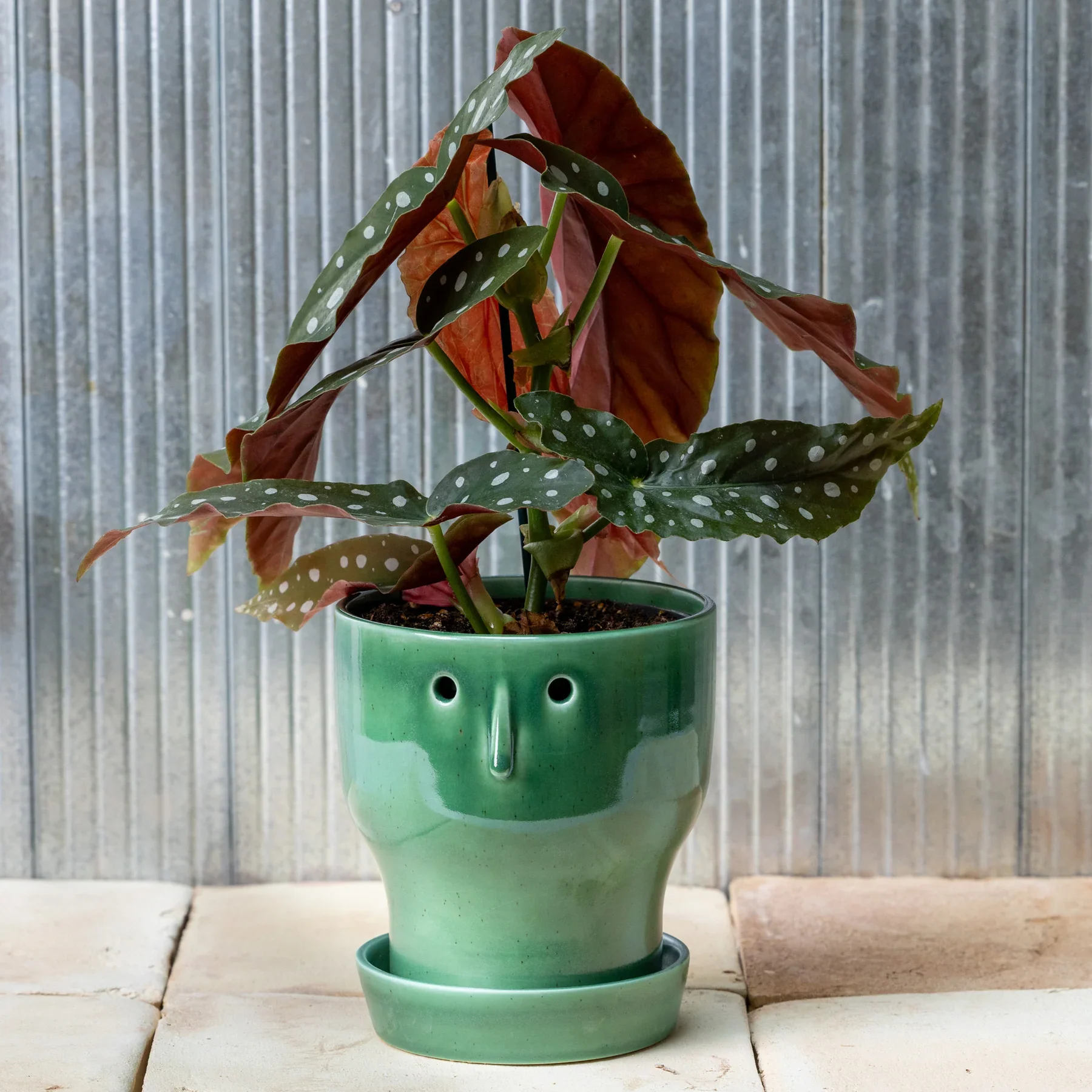 Studio Arhoj - Fnoobie Pot - Small - Image 3