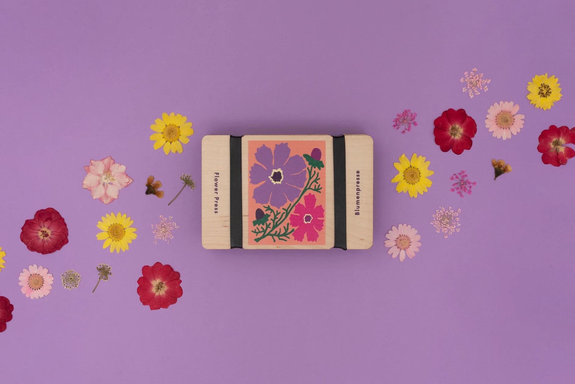 Studio Wald - Pocket Flower Press - Cosmos - Image 2
