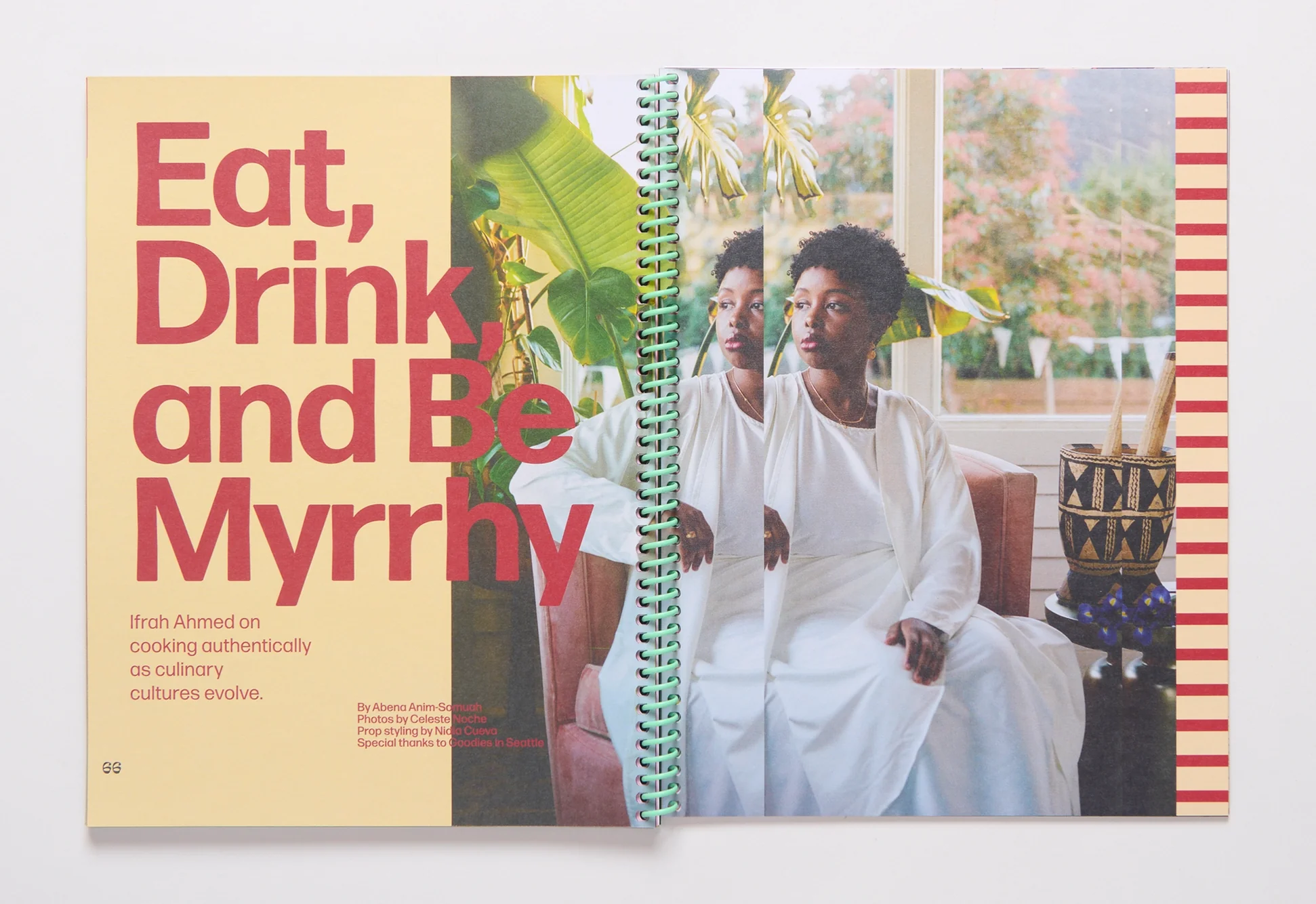 Synonym - Issue 1: Pantry - Image 2