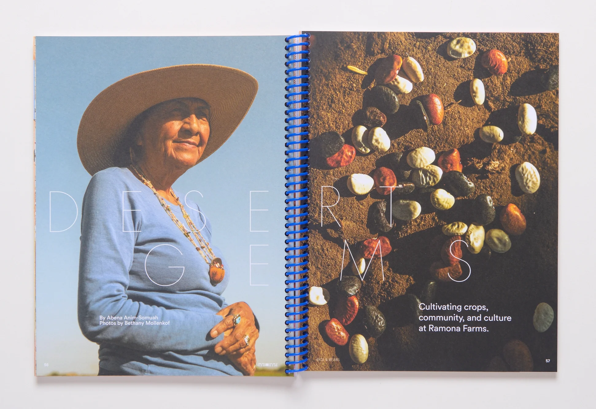 Synonym - Issue 2: Rice & Beans - Image 3