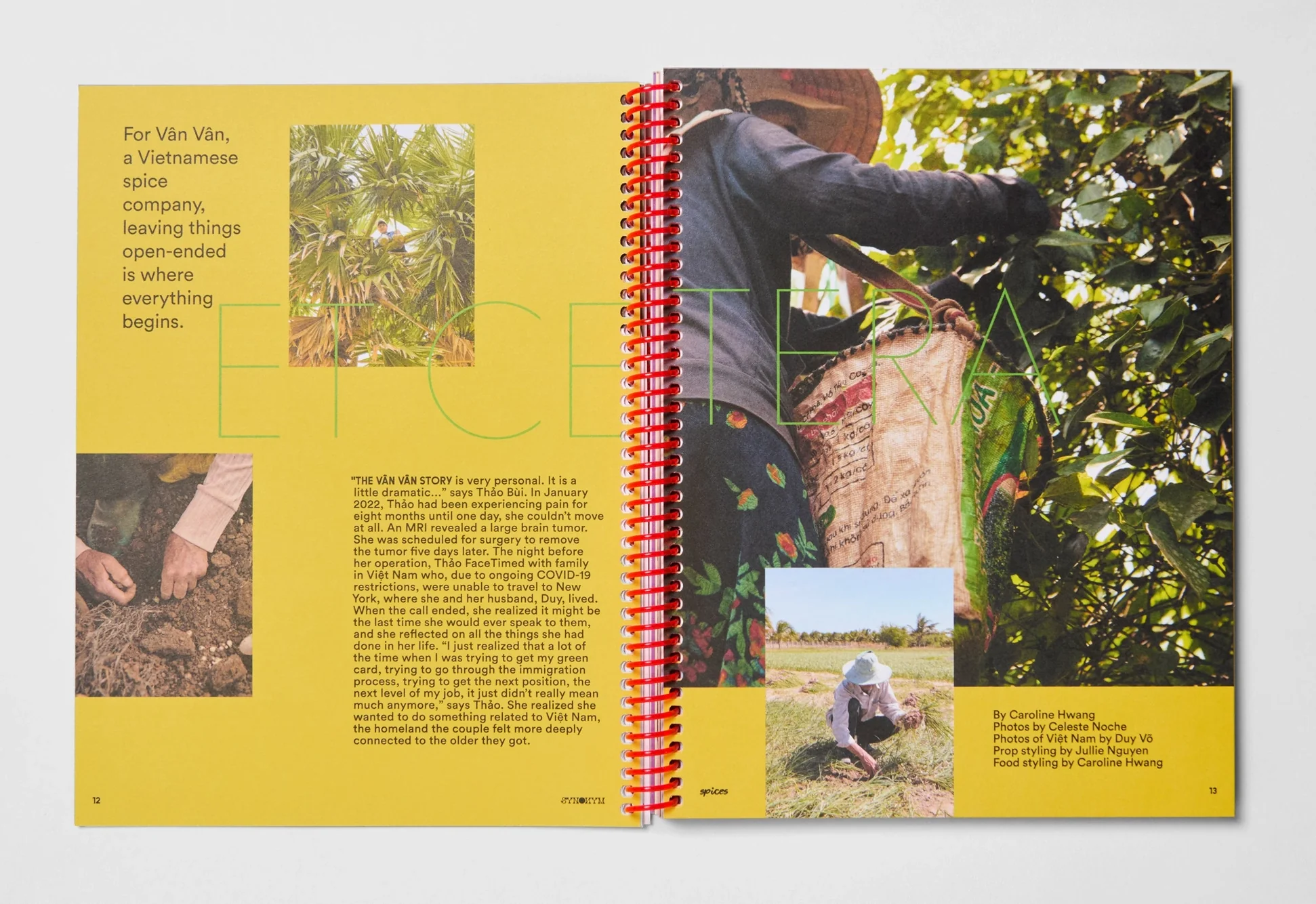 Synonym - Issue 3: Spices - Image 3