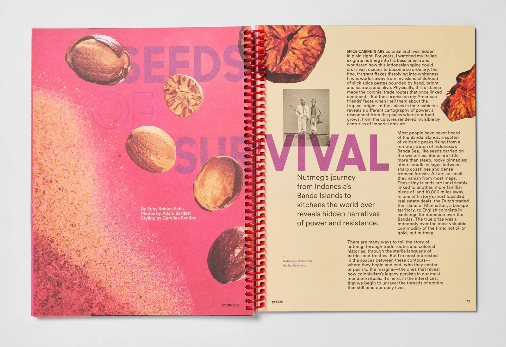 Synonym - Issue 3: Spices - Image 5