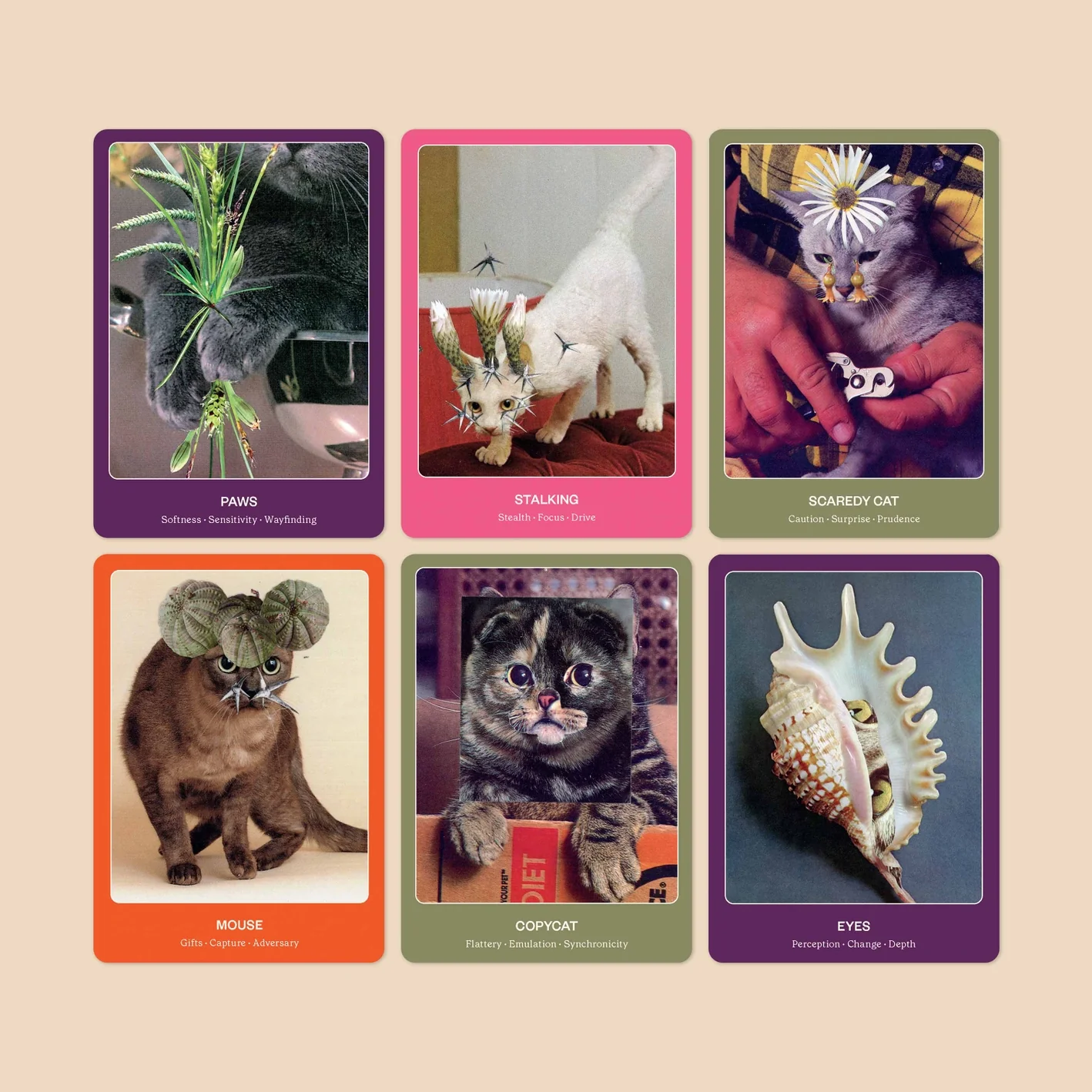 The Cat Oracle: 33 Card Deck & Guidebook - Image 3