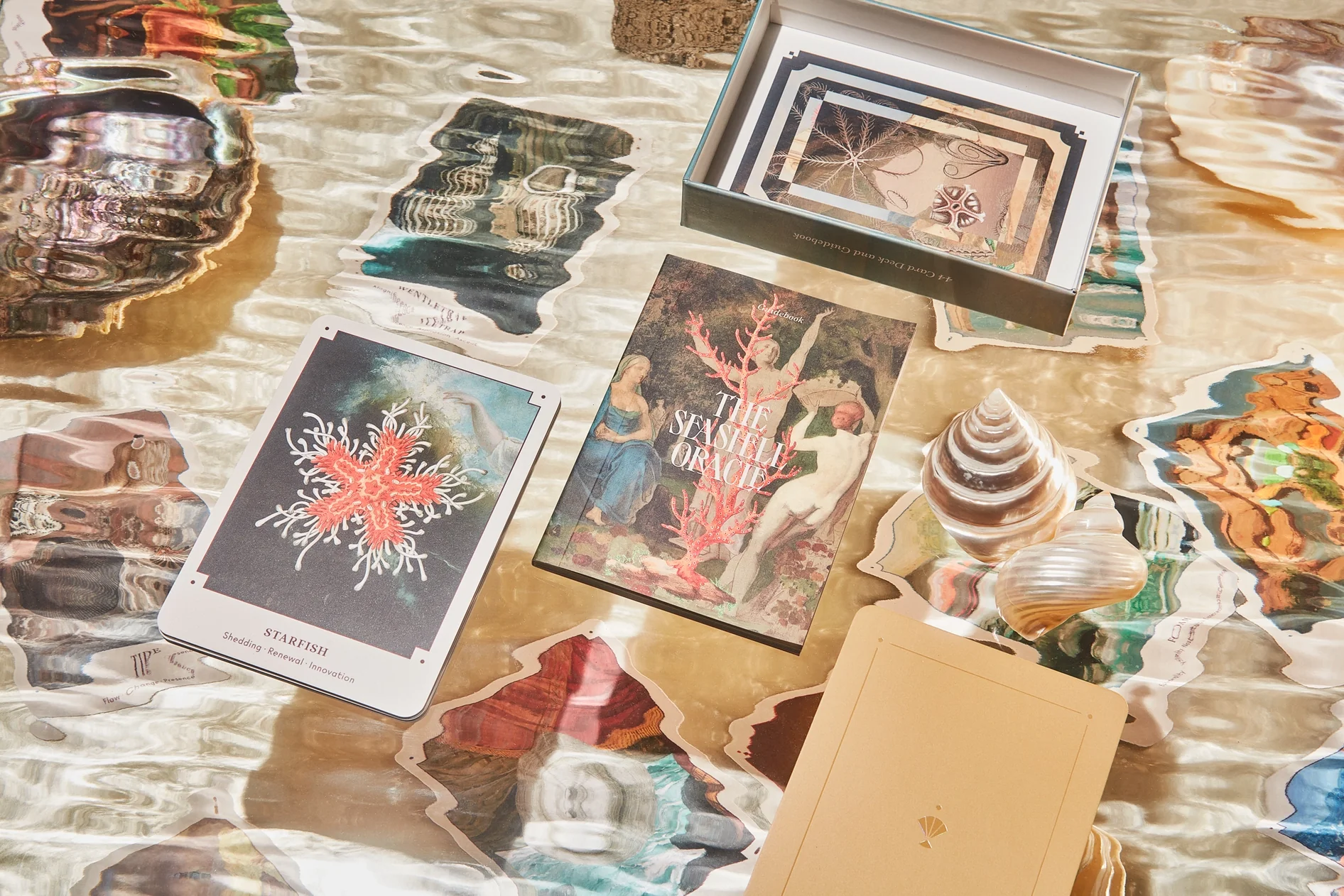 The Seashell Oracle: 44 Card Deck and Guidebook - Image 5