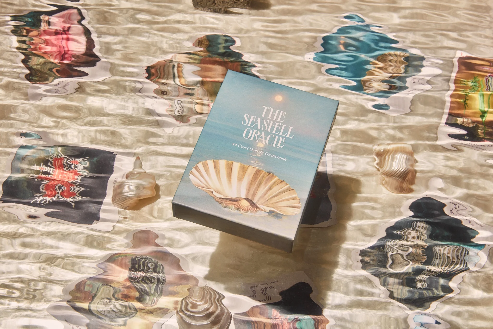 The Seashell Oracle: 44 Card Deck and Guidebook - Image 6